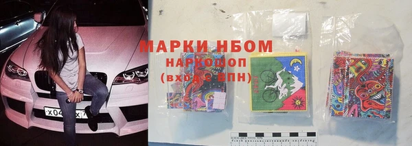 трава Аркадак