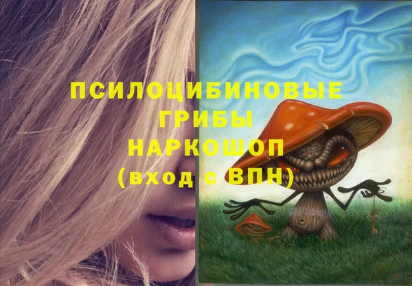 Альфа ПВП Армянск