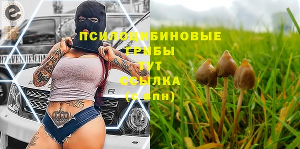 Альфа ПВП Армянск