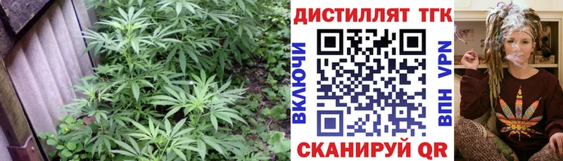 Дистиллят ТГК гашишное масло  Знаменск 