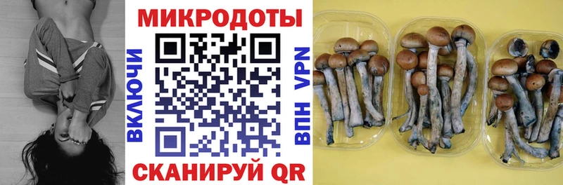 наркошоп Знаменск Псилоцибиновые грибы мухоморы