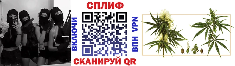 Конопля MAZAR  Знаменск 